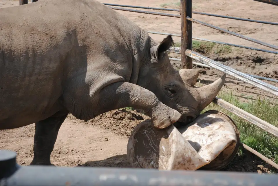 5_Abilene Zoo