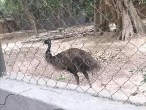 Sanjay Gandhi Biological Park