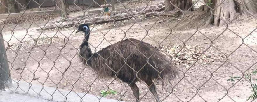 Sanjay Gandhi Biological Park