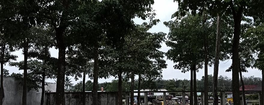 Islamic Center Tulang Bawang Barat