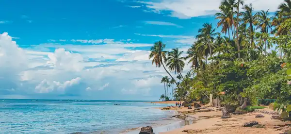 Hotels in Las Terrenas
