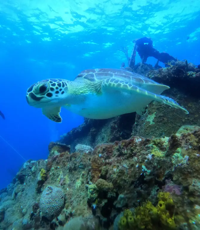 Frederiksted Southeast