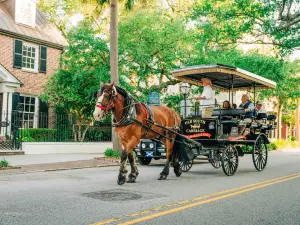 Old South Carriage Company