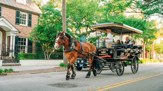 Old South Carriage Company