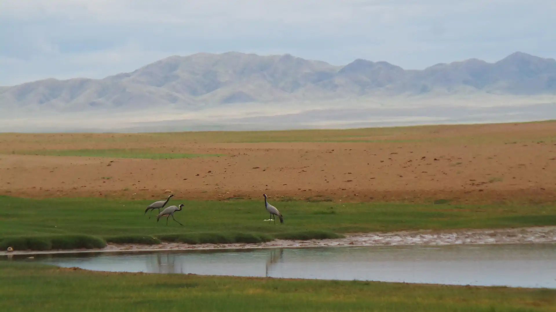 Hotels near Uvs Nuur Basin