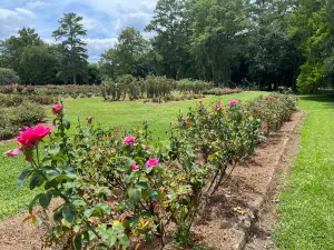 Edisto Memorial Gardens
