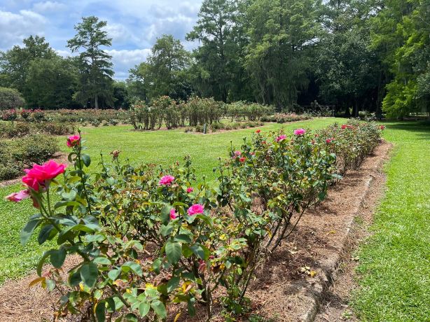 Edisto Memorial Gardens