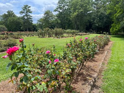 Edisto Memorial Gardens