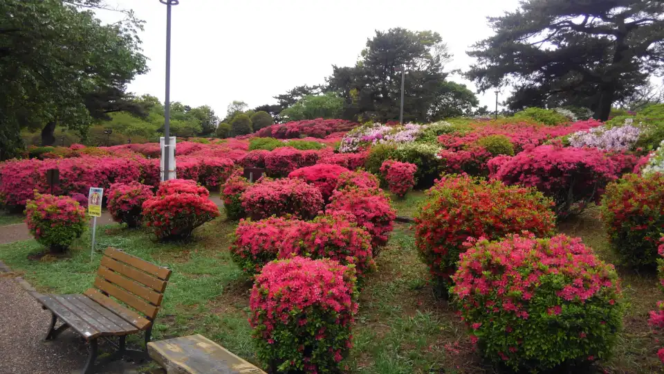 4_Komuroyama Park