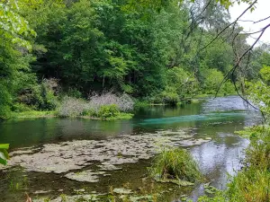 Parco Statale di Ichetucknee