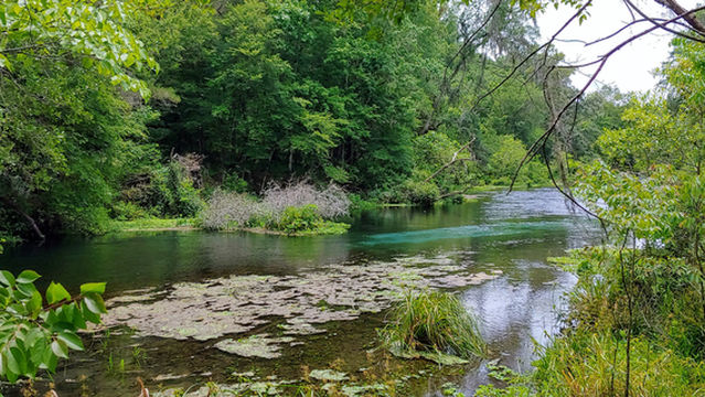 Ichetucknee Springs State Park