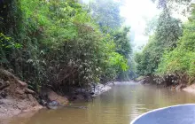 Kinabatangan Jungle Camp