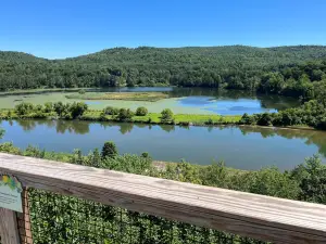 VINS Nature Center