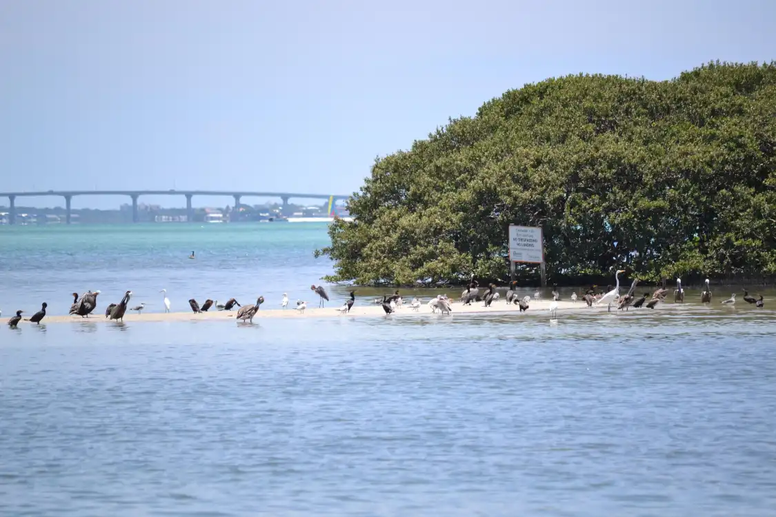 Hotels near Encounters With Dolphins