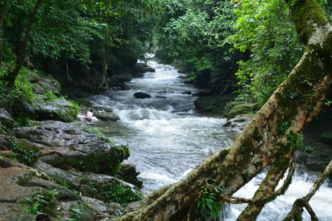Hotels near Root Bridge
