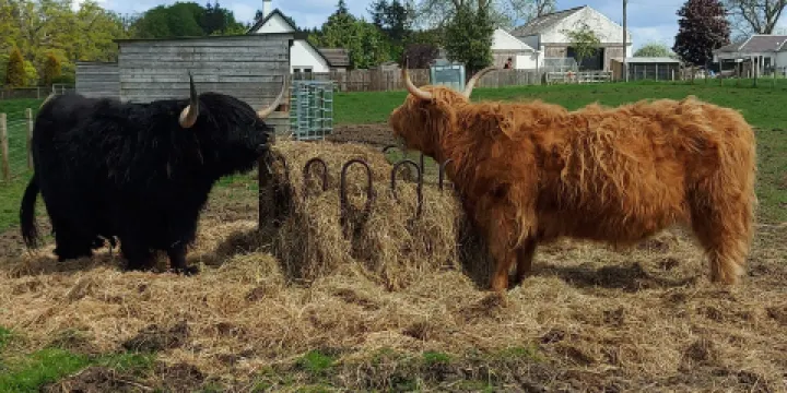 Robertson's The Larder Tomich Farm Shop and Petting Farm