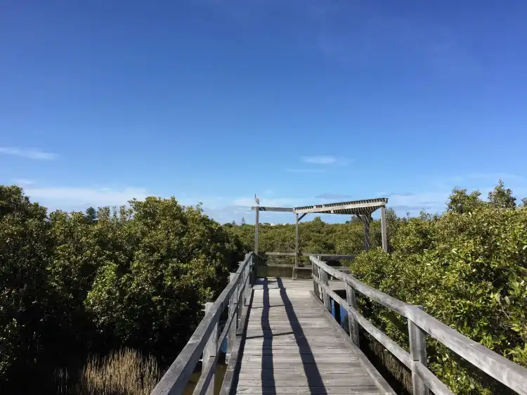Hotels near Mangrove Boardwalk