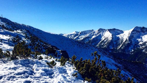 Borovets