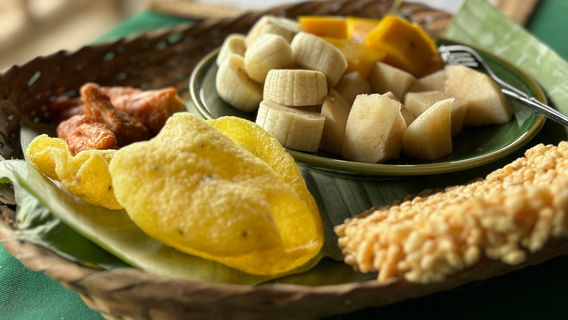 The Living Land Company