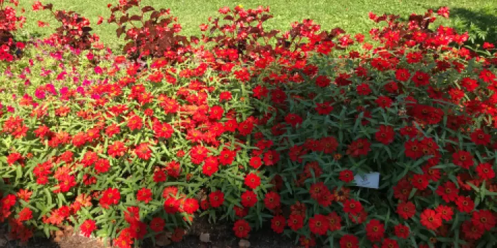 Cutler Botanic Garden