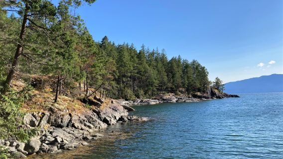 Francis Point Provincial Park
