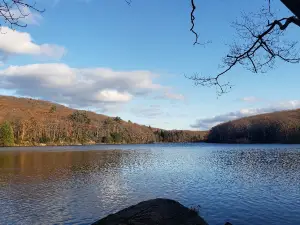 Beartown State Forest