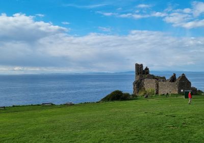 Ayr