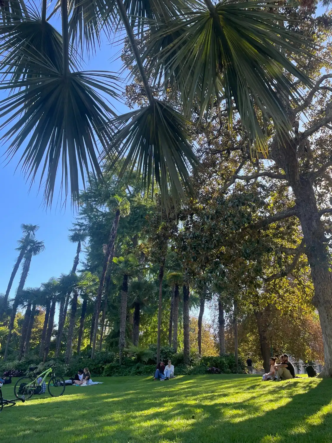 자딘 주변 호텔