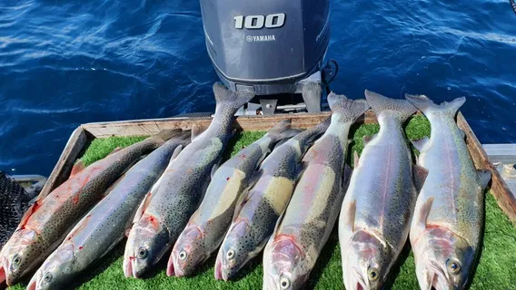 Whiskery Mike's Turangi Trout Connection | Fishing Charters in Tongariro and Taupo