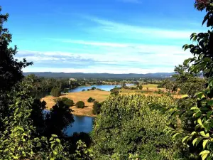 Apex Lookout / Bays Hill