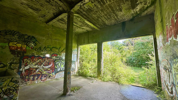 Batteries of Mont Canisy