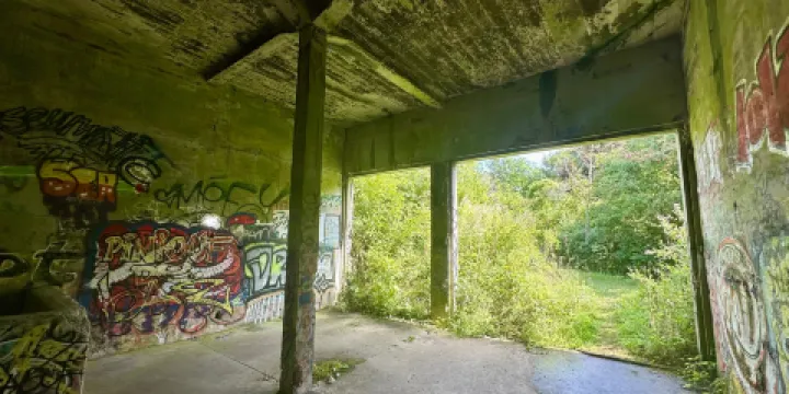 Batteries du Mont Canisy