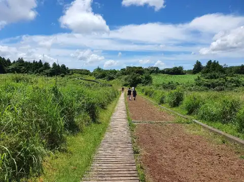 Hoteles cerca de Geomunoreum