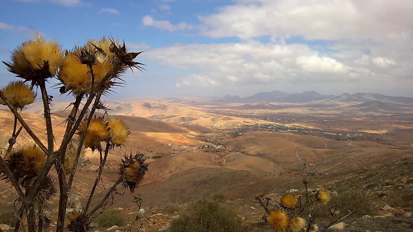 4_Mirador de las Penitas