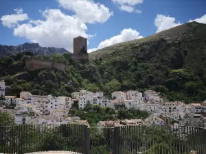 Castillo de la Yedra