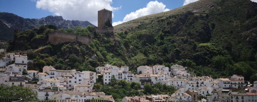 Castillo de la Yedra