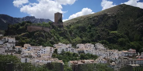 Castillo de la Yedra