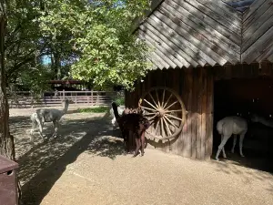 Nature and Animal Park Brueggen