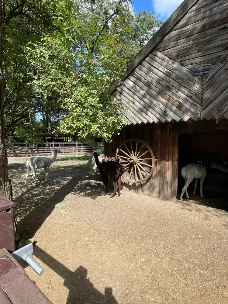 Hotels in der Nähe von Natur- und Tierpark Brüggen