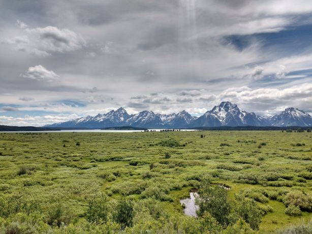 Jackson Lake Overlook