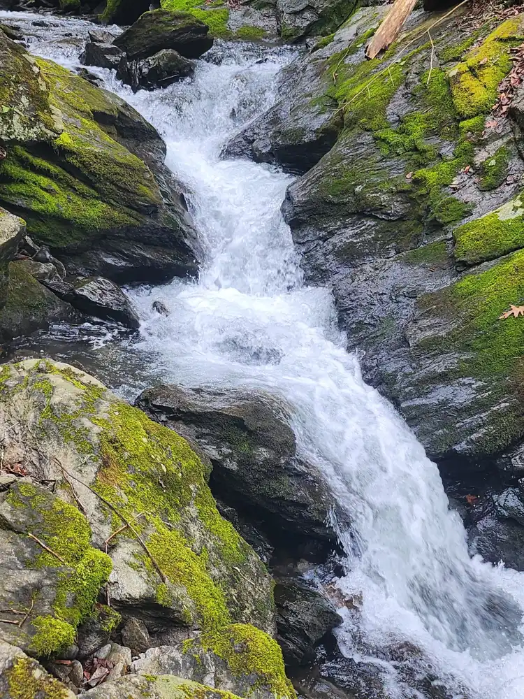 Hotels in Dover Plains