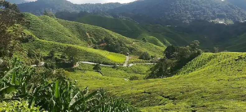 スンガイ・プタニのホテル