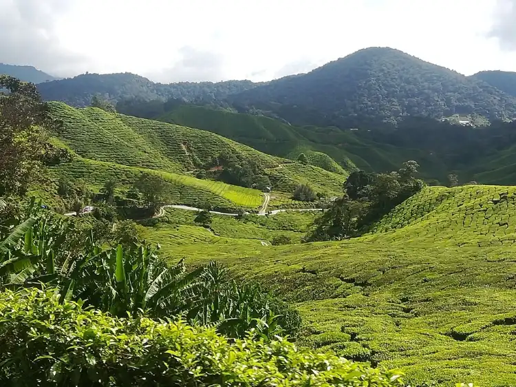 Sungai Petani