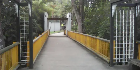 佩雷拉科技大學