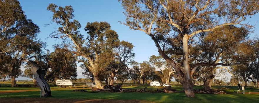 Bellwether Wines