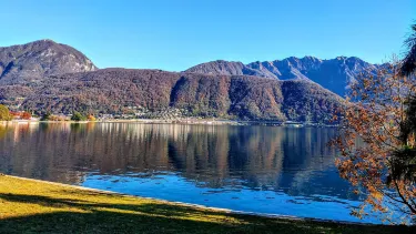 Bissone