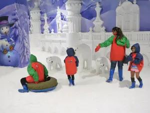 Snow Kingdom (Mumbai)