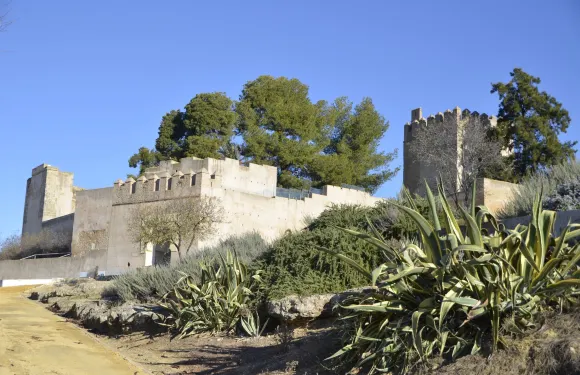 邁雷納-德爾阿爾科