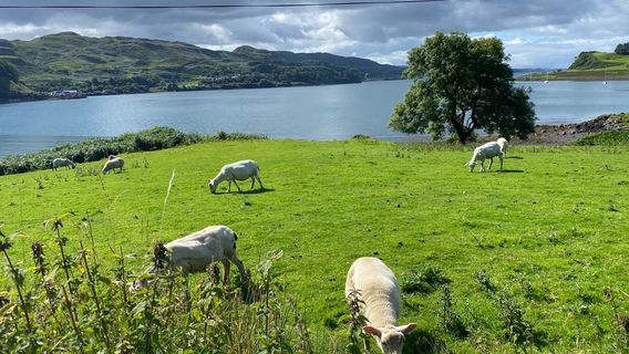 Oban