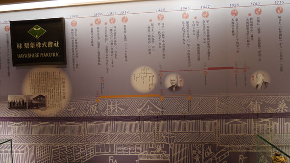 Hayashi Genjuro Pharmacy Museum